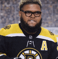 Boston Bruins GIF
