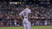 hou oddities GIF by MLB