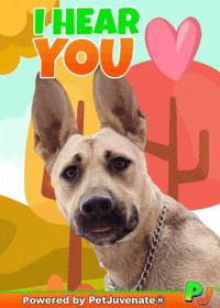 PetJuvenate petjuvenate henlo hooman fren love rescue dogs treatos and woofer for pupper GIF