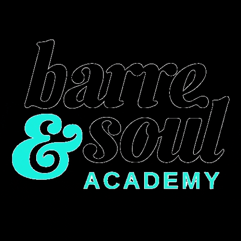 BarreSoulAcademy giphygifmaker barre fitness instructor barre class GIF