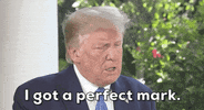 Donald Trump Cognitive Test GIF by GIPHY News