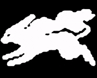 hi_rafarafa  GIF