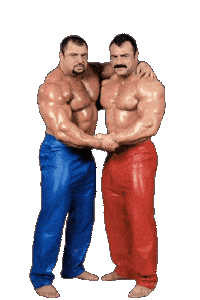 Gay Queer Sticker by Database數據