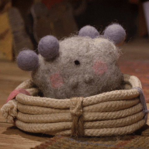 Pets Sleeping GIF by Tweedy & Fluff