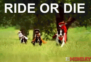 Ride Or Die Dog GIF by FirstAndMonday