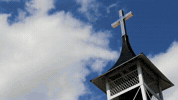 Violating American History GIF