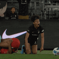Acfc GIF by Angel City FC