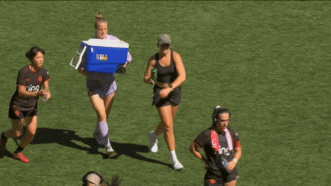 Samcoffey GIF by National Women's Soccer League