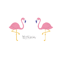 MiamiSeaquarium love heart bird flamingo Sticker