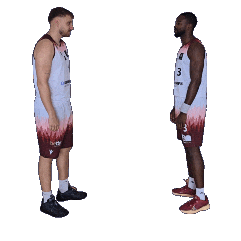 Basketball Winasone Sticker by Iserlohn Kangaroos