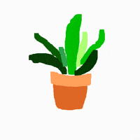 rotoscope snake plant GIF by jjjjjohn