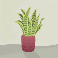 Illustration Dancing GIF