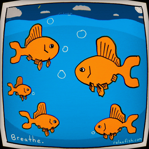 Fight Swimming GIF by Stoner Stick People