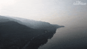 GIF by The Guardian