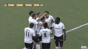 fc cincinnati football GIF by USL