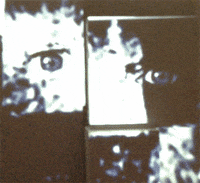 new media eyes GIF by Ryan Seslow