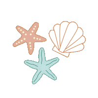 harliandme starfish seashells harliandme harlime Sticker