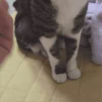 Give Round And Round GIF