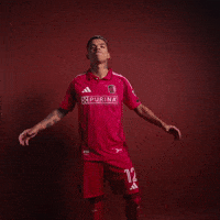Stl Celio GIF by St. Louis CITY SC