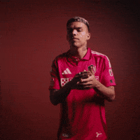 Stl Celio GIF by St. Louis CITY SC