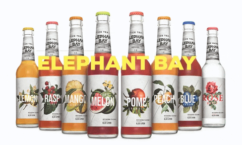 ElephantBay giphygifmaker summer vegan drinks GIF