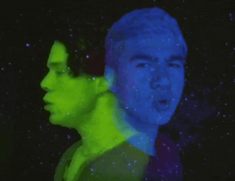 Wildflower GIF by 5 Seconds of Summer