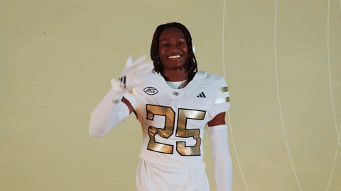 Georgia Tech Football Sport GIF by Georgia Tech Yellow Jackets