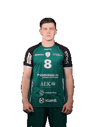 Handball Sticker by Wacker Thun