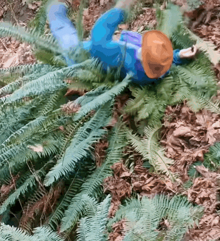Falling Down Oops GIF by the innernette