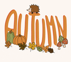 Halloween Illustration GIF by Reiseausschnitte