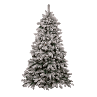 Feshemebel christmas newyear christmastree новийрік Sticker