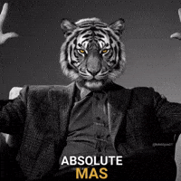 Tigers GIF
