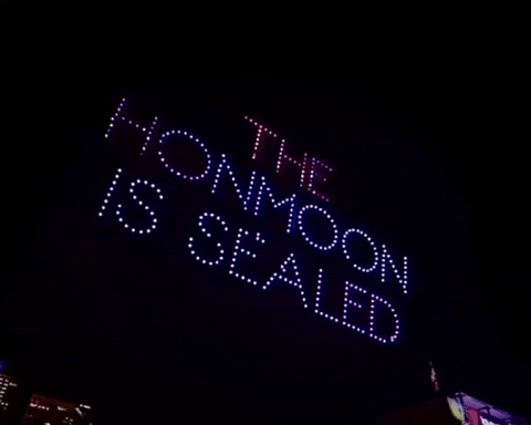 Lollapalooza Takedown GIF