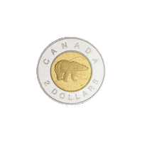 Toonie Sticker by CGP Spotlight