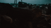 Kate Lyn Sheil Neonrated GIF by NEON