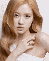 Rose GIF