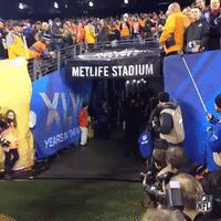 sb48 GIF by NFL