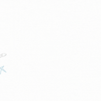 Vvb Benschop GIF by dames.vvbenschop