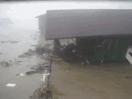 storm GIF