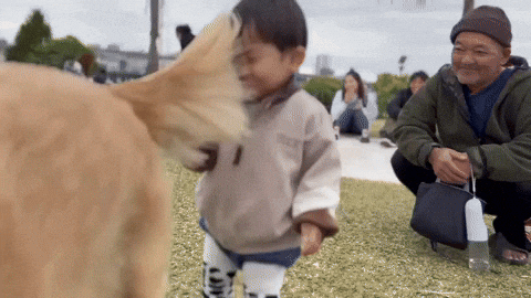 cuteanimalland giphyupload GIF