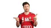 Sport Celebration Sticker by EHF