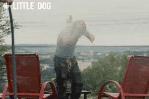 Dog Comedy GIF by CBC