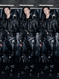 Seokjin GIF