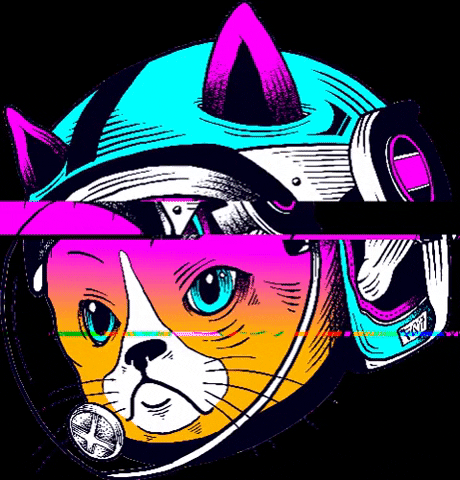 space cat frequency GIF