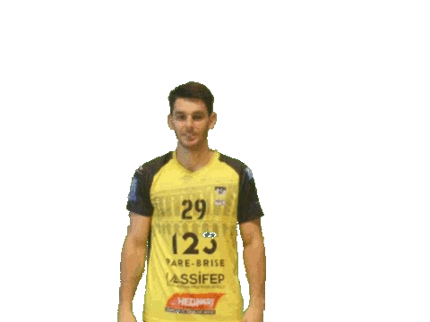 Sport Handball Sticker by Hazebrouckhandball