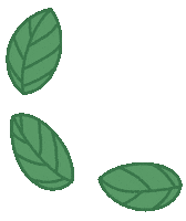 Plant Shine Sticker
