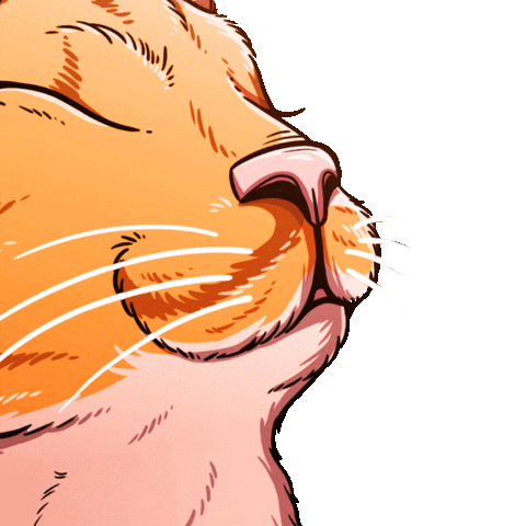 Cat Chris Sticker