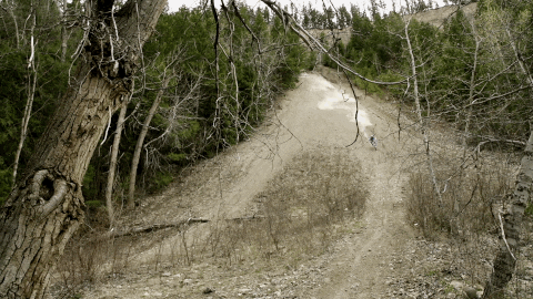 builder GIF by EchoBoom Sports