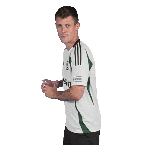 LegiaWarsaw football soccer dragon ball warsaw Sticker