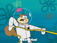 season 2 prehibernation week GIF by SpongeBob SquarePants